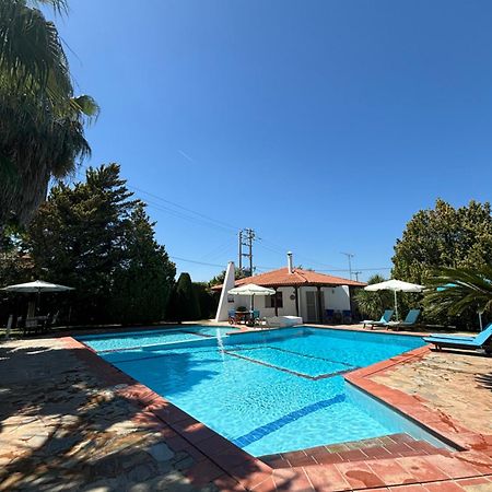 Country House With Pool And Big Garden Оропос Экстерьер фото